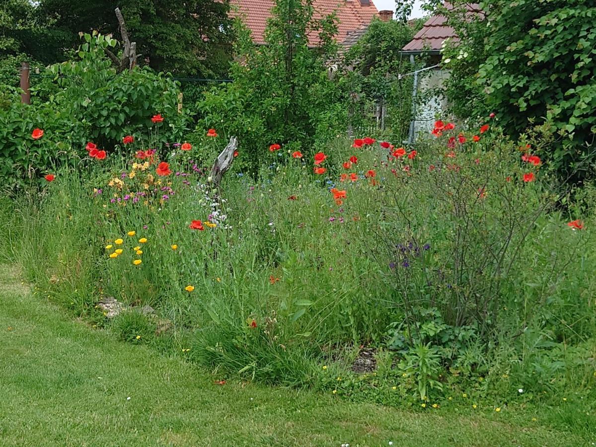 Ferienhof-Rietschen-Neuliebel Exteriér fotografie