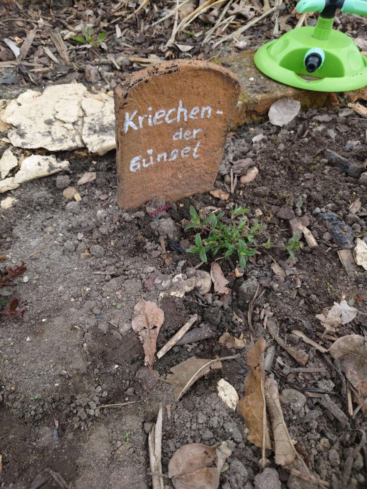 Ferienhof-Rietschen-Neuliebel Exteriér fotografie
