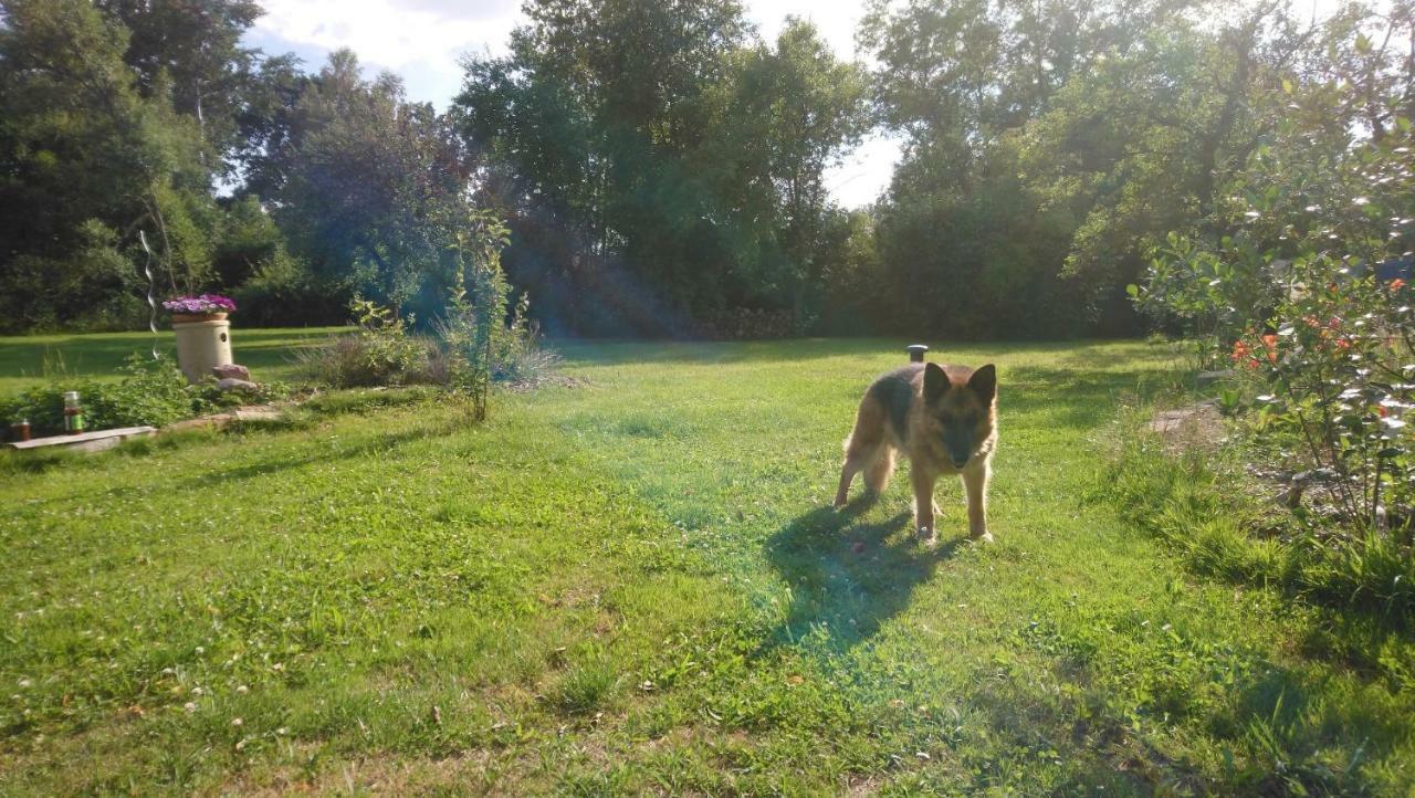 Ferienhof-Rietschen-Neuliebel Exteriér fotografie